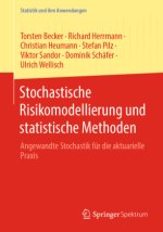 Stochastische Risikomodellierung und statistische Methoden