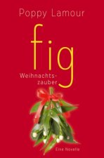 fig ? Weihnachtszauber