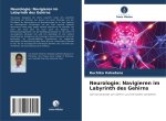 Neurologie: Navigieren im Labyrinth des Gehirns