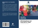 Zitronensäure aus Aspergillus Niger