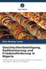 Geschlechterbeteiligung, Radikalisierung und Friedensförderung in Nigeria