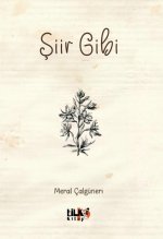 Siir Gibi