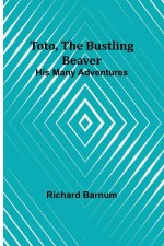 Toto, The Bustling Beaver