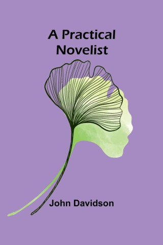 A Practical Novelist