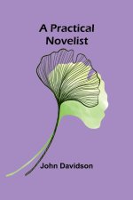 A Practical Novelist