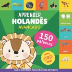 Aprender holand?s - 150 palavras com pronúncias - Avançado