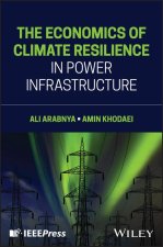 Economics of Climate Resilience in Electric Po wer Infrastructure