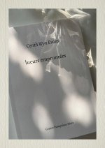 Cerith Wyn Evans
