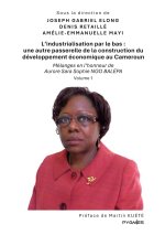 INDUSTRIALISATION PAR BAS AUTRE PASSEREL