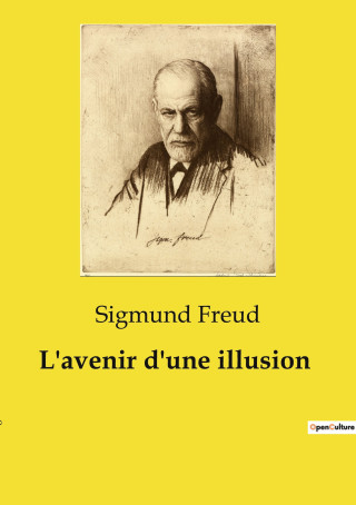 AVENIR D ILLUSION