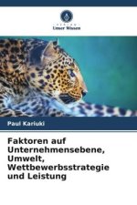 Faktoren auf Unternehmensebene, Umwelt, Wettbewerbsstrategie und Leistung