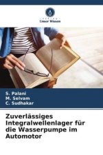 Zuverlässiges Integralwellenlager für die Wasserpumpe im Automotor