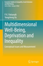 Multidimensional Well-Being, Deprivation and Inequality