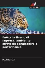 Fattori a livello di impresa, ambiente, strategia competitiva e performance
