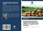 Genotypisierung des Potato Leaf Roll Virus (PLRV) in ägyptischen Isolaten