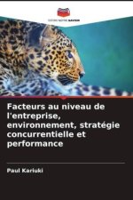 Facteurs au niveau de l'entreprise, environnement, stratégie concurrentielle et performance