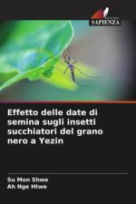Effetto delle date di semina sugli insetti succhiatori del grano nero a Yezin