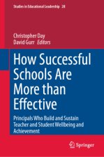 How Successful Schools are More than Effective