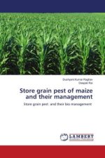 Store grain pest of maize and their management