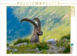 CALVENDO Puzzle Der König der Alpen | 2000 Teile Lege-Größe 90x67cm Foto-Puzzle für glückliche Stunden