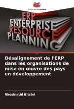 Désalignement de l'ERP dans les organisations de mise en oeuvre des pays en développement