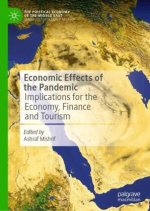 Economic Effects of the Pandemic