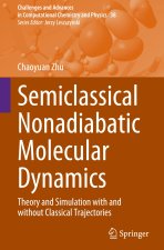 Semiclassical Nonadiabatic Molecular Dynamics