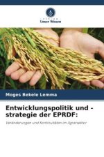Entwicklungspolitik und -strategie der EPRDF: