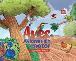 AVES, AVIONES SIN MOTOR