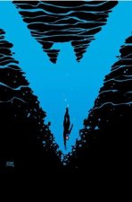 NIGHTWING 35