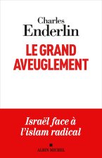 Le Grand Aveuglement (nouvelle édition augmentée)