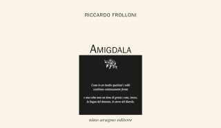 Amigdala