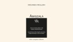 Amigdala