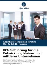 IKT-Einführung für die Entwicklung kleiner und mittlerer Unternehmen