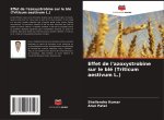 Effet de l'azoxystrobine sur le blé (Triticum aestivum L.)