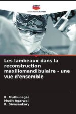 Les lambeaux dans la reconstruction maxillomandibulaire - une vue d'ensemble