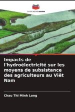Impacts de l'hydroélectricité sur les moyens de subsistance des agriculteurs au Viêt Nam