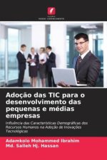 Adoção das TIC para o desenvolvimento das pequenas e médias empresas