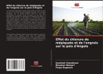 Effet du chlorure de mépiquate et de l'engrais sur le pois d'Angole