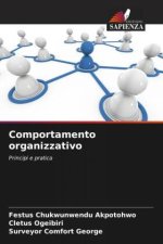 Comportamento organizzativo