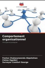 Comportement organisationnel