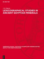 Lexicographical Studies in Ancient Egyptian Minerals