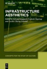 Infrastructure Aesthetics