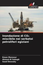 Inondazione di CO2 miscibile nei serbatoi petroliferi egiziani