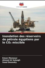 Inondation des réservoirs de pétrole égyptiens par le CO2 miscible