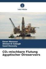CO2-mischbare Flutung ägyptischer Ölreservoirs