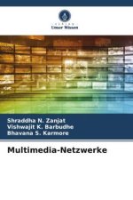 Multimedia-Netzwerke