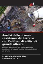Analisi delle diverse resistenze del terreno con l'utilizzo di edifici di grande altezza
