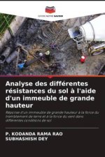 Analyse des différentes résistances du sol à l'aide d'un immeuble de grande hauteur