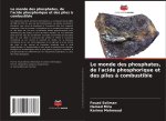 Le monde des phosphates, de l'acide phosphorique et des piles à combustible
